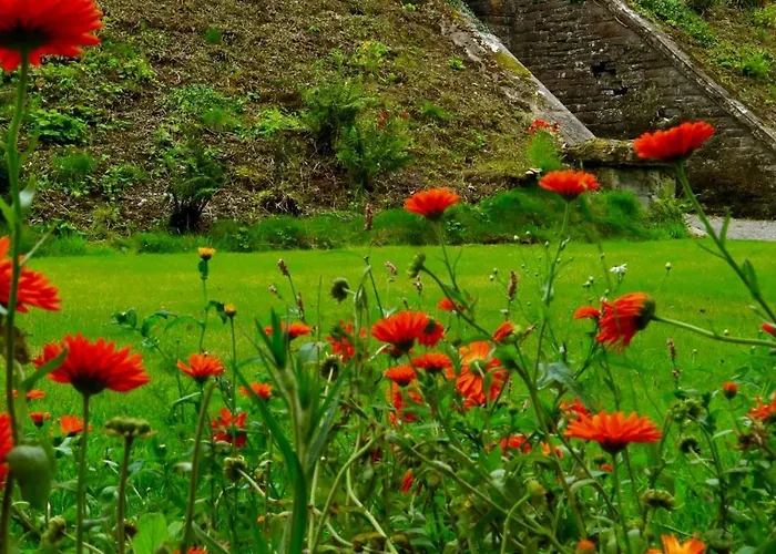 The Carriage - A First Class Experience *