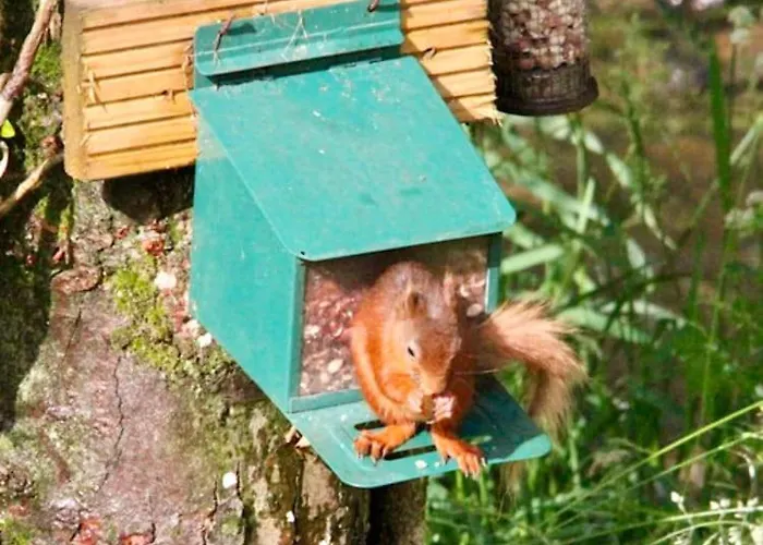 Holiday home The Carriage - A First Class Experience