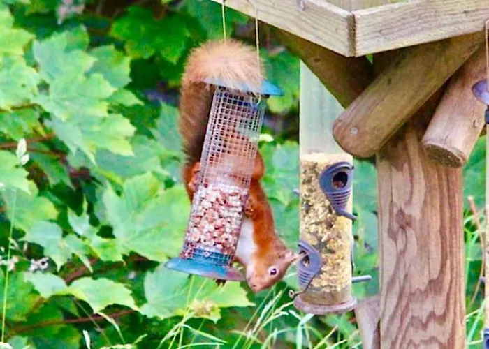 The Carriage - A First Class Experience Ullock